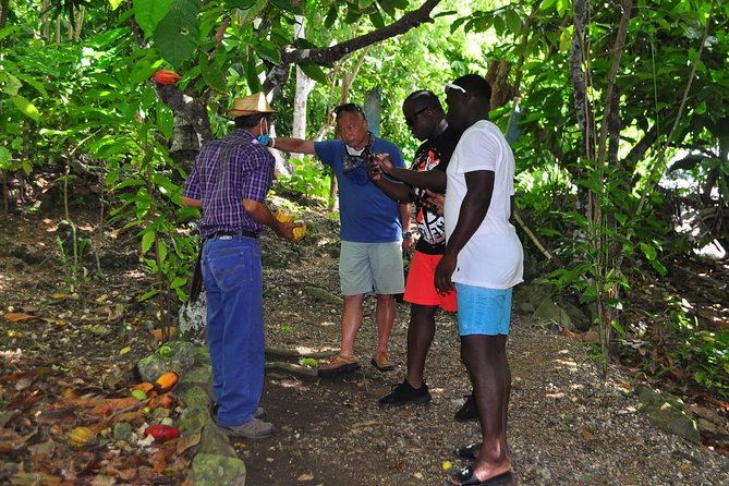Full Day Eco Safari Adventure and Cultural Tour - Horseback riding: a fun stop that needs a little preparation