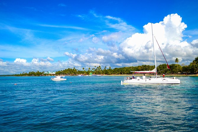 Full-Day Excursion in Saona Island - Saona Island beach time: the island is the payoff
