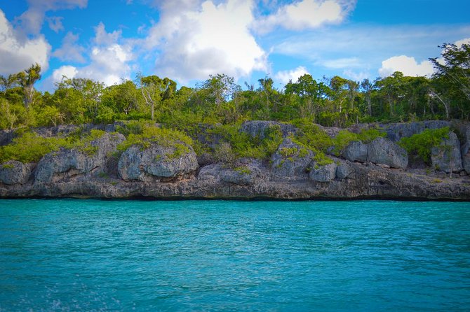Full-Day Excursion in Saona Island - Photo pressure and souvenir selling: protect your time and your money
