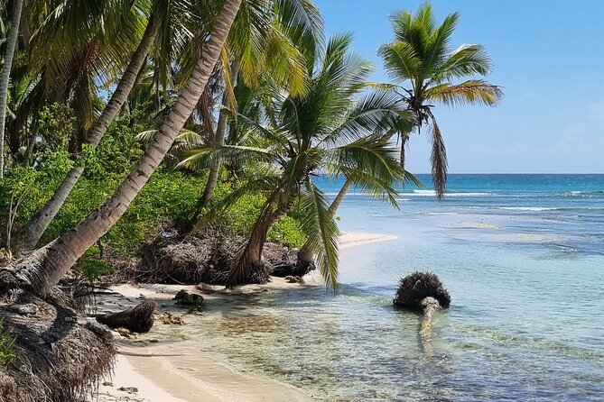 Full Day Island Tour in Isla Saona from Punta Cana - Saona beach time: free to roam, built for relaxing