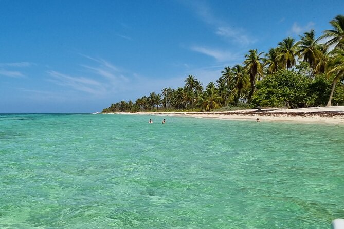 Full Day Island Tour in Isla Saona from Punta Cana - Price and value: $68 that’s easier to justify as a package