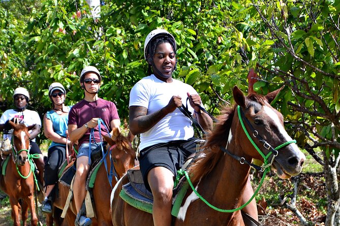 Full-Day La Hacienda Dune Buggy with Zipline & Horseback Activity - Zipline through the skies: the calm contrast that makes the day click