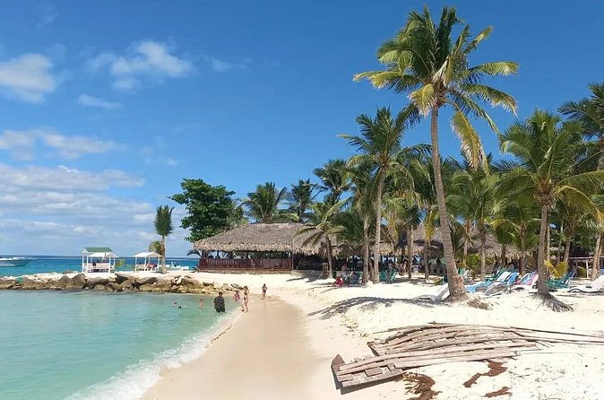Full Day Private Tour of Bayahibe, Cotubanamá and Saona Island - Isla Saona, Abanico beach wildlife moments: mangroves, turtles, and starfish