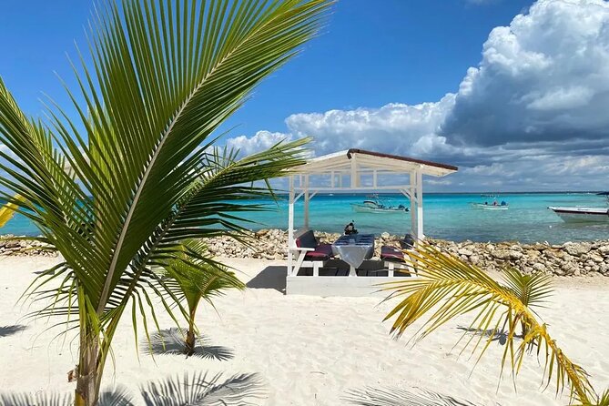 Full Day Private Tour of Bayahibe, Cotubanamá and Saona Island - Bayahibe corals and fish: the snorkel and marine-life stop near the Hilton