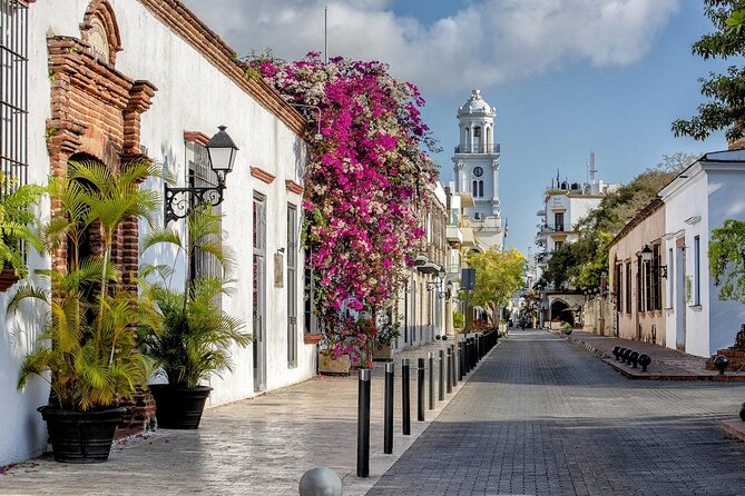 Full Day Santo Domingo City Tour: History of the Caribbean From Punta Cana - Zona Colonial: The Walking Core, Plus the Old Presidential Grounds