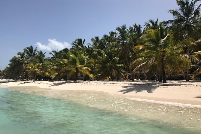 Full-Day Saona Island Escape – Beaches, Adventure, Paradise Vibes - Punta Cana Pickup and the Reality of an 8-Hour Day
