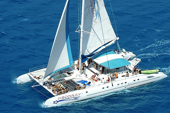 Full-Day Saona Island Escape – Beaches, Adventure, Paradise Vibes - Price and Value: Is $99 a Good Deal?