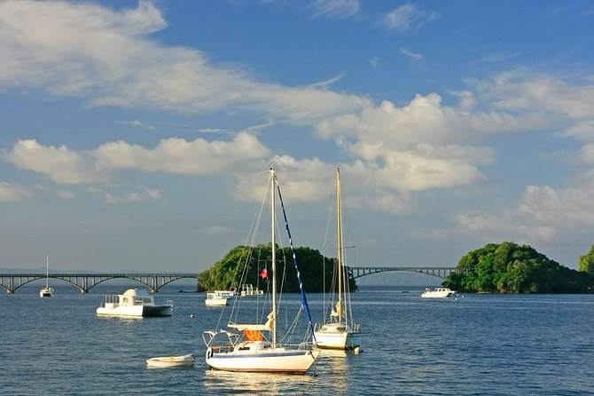 Full day tour to samana bay from punta cana - Key Things I’d Focus On