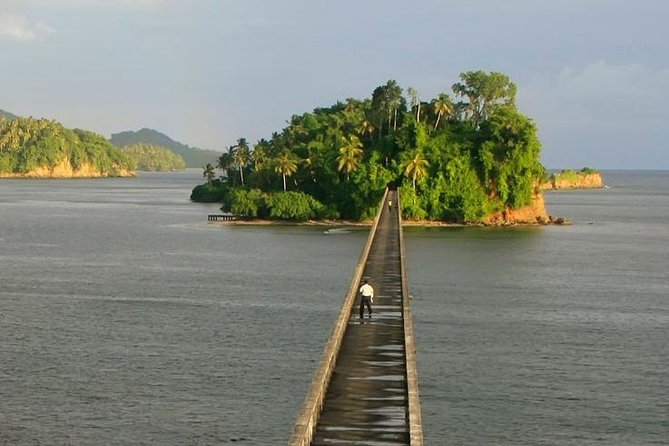 Full day tour to samana bay from punta cana - First Stop, Samana Bay: Ticket-Included Scenery