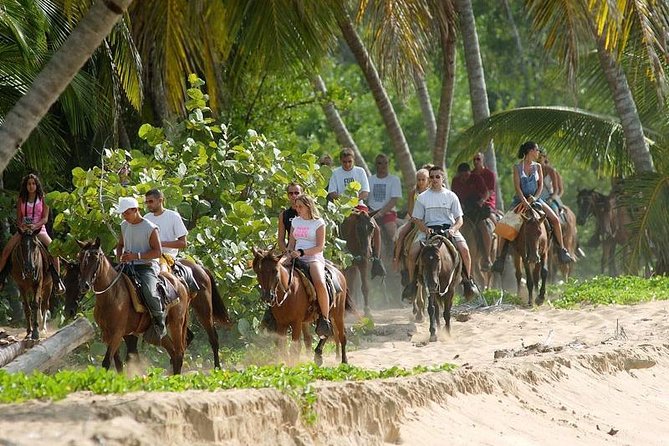 Full day tour to samana bay from punta cana - Water Time Matters: Catamaran and Boat for Photos