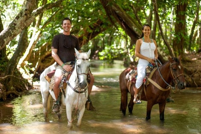 Full day tour to samana bay from punta cana - Price and Value: Is $145 Fair?