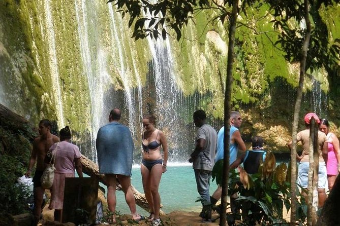 Full day tour to samana bay from punta cana - Punta Cana Pickup to the Dock: What to Expect