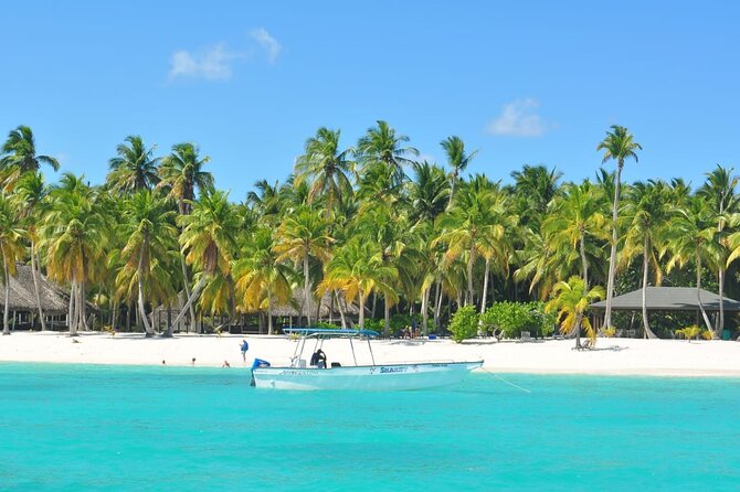 Full Day Tour to Saona Island by Catamaran and Speedboat - Natural Pool at Playa Palmilla: shallow water, coral terrace, and starfish spotting