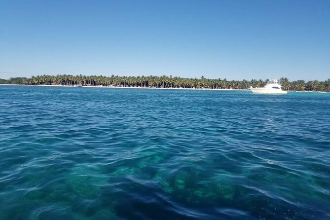 Full Day Tour to Saona Island by Catamaran and Speedboat - Service style: group day energy and how to handle it