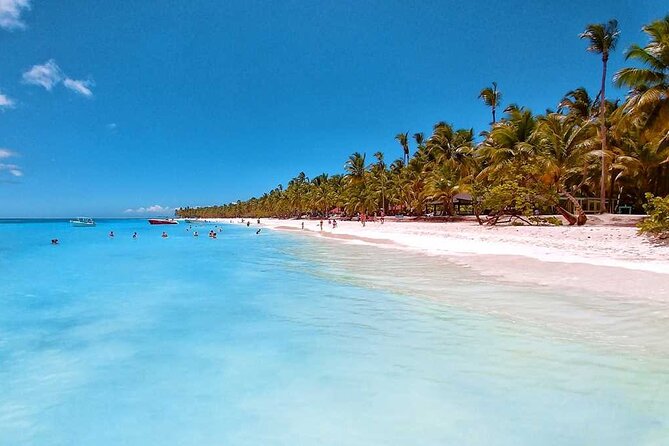 Full Day Tour to Saona Island by Catamaran and Speedboat - Isla Saona: loungers, shells, swimming, and that open bar rhythm