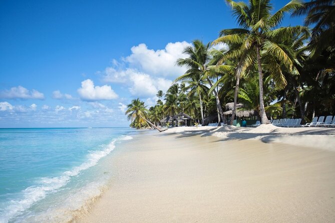 Full-Day Tour to Saona Island Sailing with Lunch and Beverages - Quick Take: Is This Saona Island Day Worth It?