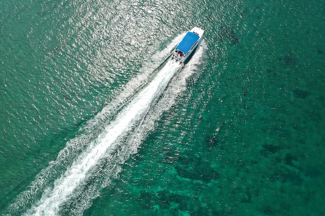 Full-Day Tour to Saona Island Sailing with Lunch and Beverages - Speedboat to Saona, Then Catamaran Back: The Transport Rhythm