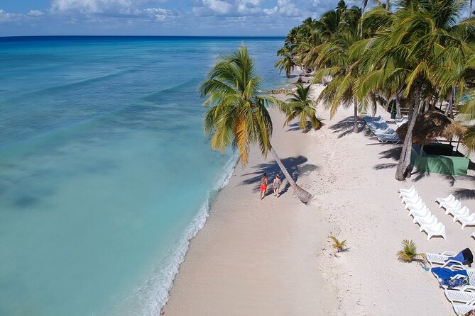Full-Day Tour to Saona Island Sailing with Lunch and Beverages - Saona Island: The Beach Time You Actually Came For (About 3 Hours)
