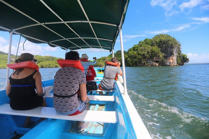 Full-Day Trip to Limon Waterfall and Bacardi Island - Why this Samana day trip exists: bus and boat, not a plane