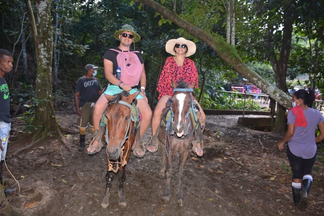 Full-Day Trip to Limon Waterfall and Bacardi Island - El Salto del Limon: the waterfall stop and the climb plan