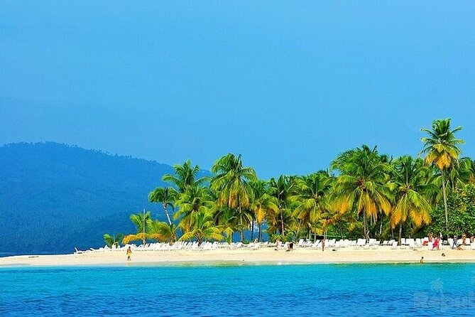 Full-day Whale watching Tour in Samana Bay from Punta Cana - Samana Bay Humpback Whales: what you’re really booking
