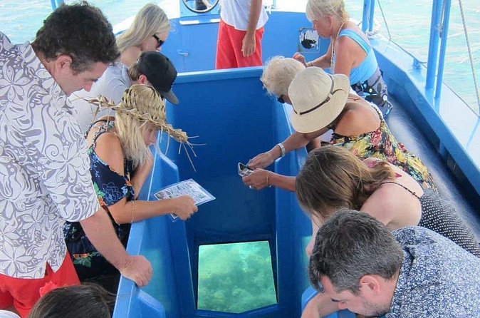 Glass Bottom Boat in Punta Cana - Price and value: does $79.99 cover what matters?