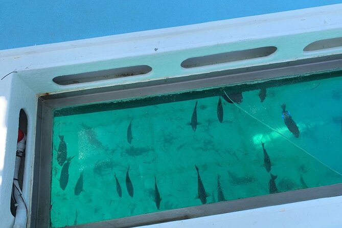 GlassBottom Catamaran with Slide - The Slide, Music, and That Water-Party Energy