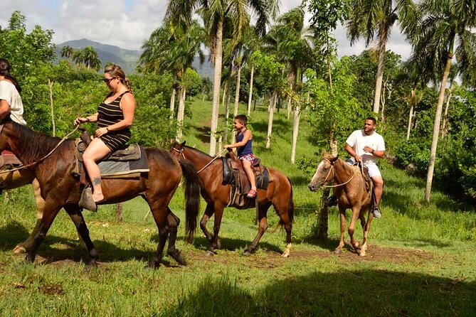 Guided Horseback Ride On The Beach With Pickup From Punta Cana - Key things I’d circle before you book