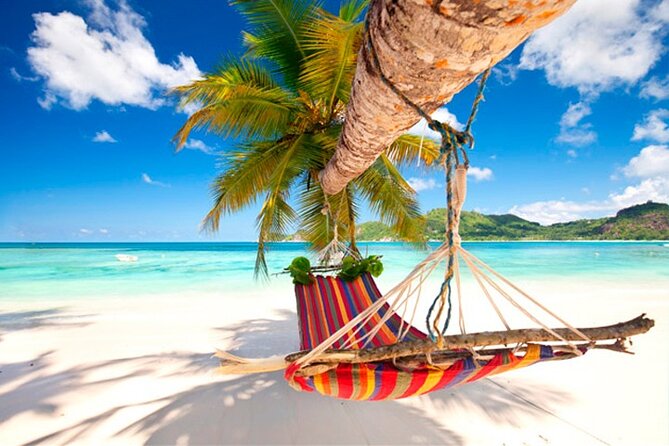 Guided Saona Island Tour in Punta Cana - Key Highlights You Should Know Before You Go