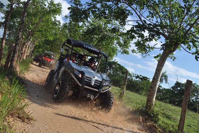 Guided Tour in Polaris (4X4) by Macao Beach, Taino Cave and Typical House - Stop 2: Cueva Taína, Freshwater River Swim and a Near-3-Meter Jump