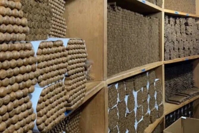 Guided Tour to Don Lucas Cigars Factory and Souvenirs Store - Optional tastings of cigars, chocolate, and rum
