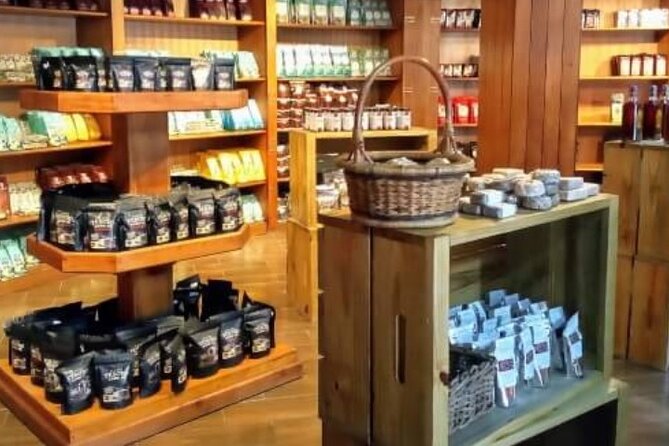 Guided Tour to Don Lucas Cigars Factory and Souvenirs Store - Who should book this tour, and who should skip it