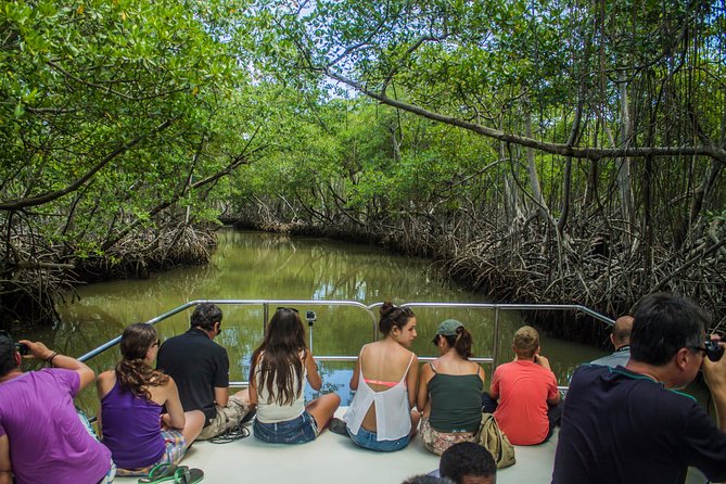 Haitises National Park with Paraiso Caño Hondo & Montaña Redonda - From Punta Cana to Sabana de la Mar, the drive sets the vibe