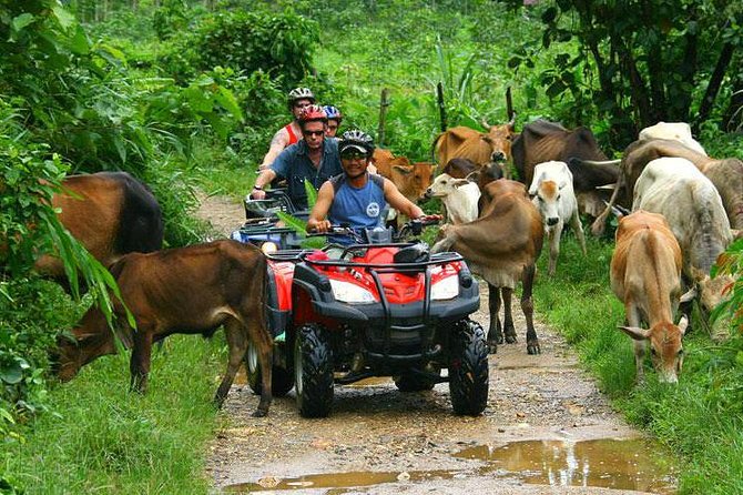 Half-Day Adventure 4x4 ATV, Water Cave and Dominican Culture - ATV Time: Safety Briefing, Solo Driving, and What to Check Before You Go