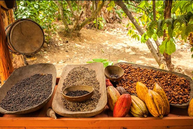 Half-Day Adventure 4x4 ATV, Water Cave and Dominican Culture - Sales Pitches, Photos, and How to Keep Your Budget Under Control
