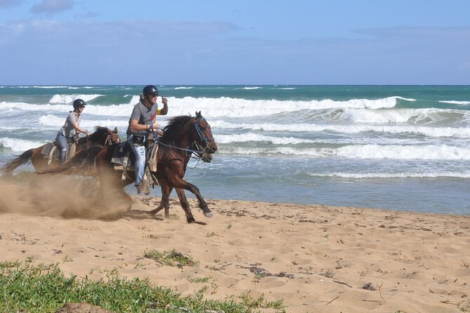 Half Day Buggies and Horseback Experience in Punta Cana - The vibe: muddy buggies, fast stops, and lots of movement