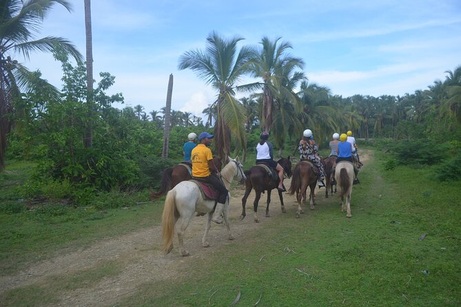 Half Day Buggies and Horseback Experience in Punta Cana - The underground water cave: cool air, wet spots, and a break from sun