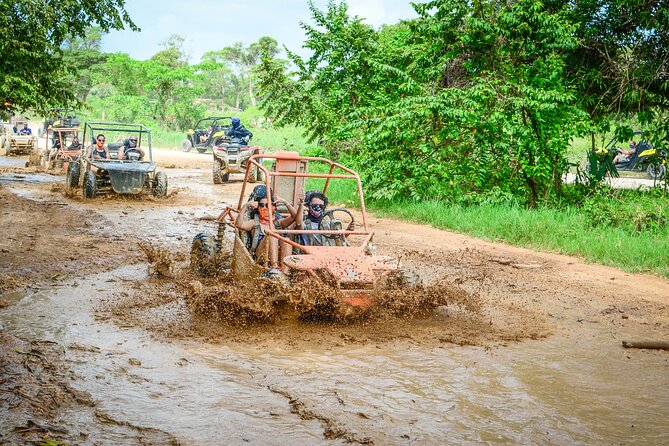 Half-Day Buggy Tour to Water Cave and Macao Beach - Stop 3: Organic farm tastings and why it’s more than a snack break