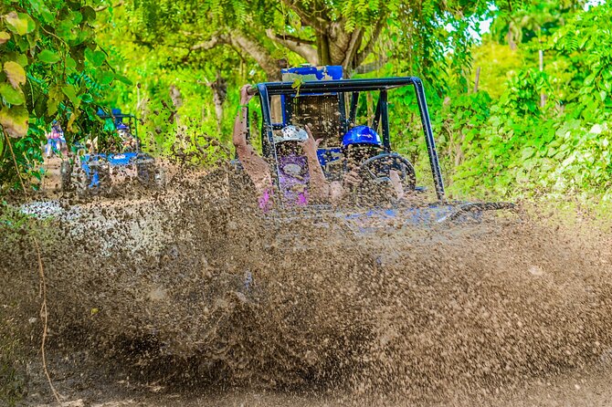 Half-Day Buggy Tour to Water cenote and Macao Beach in Punta Cana - Who this tour suits best, and who should think twice
