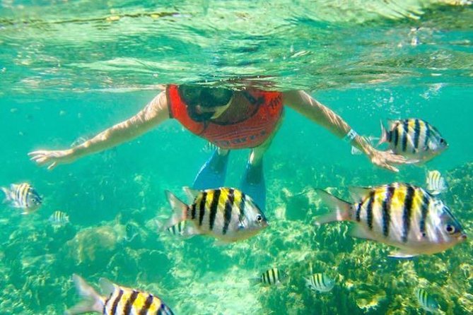 Half Day Catamaran & Snorkeling - Unlimited Open Bar and Snacks, With a Realistic Drink Plan