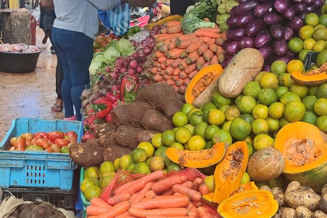 Half-day City tour cultural from punta cana for small group - Key Highlights at a Glance