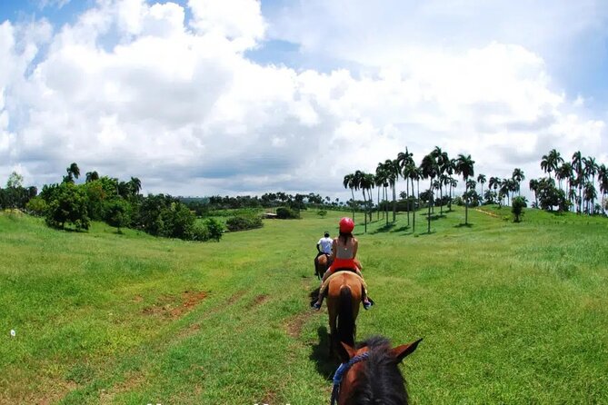 Half-Day Cultural Safari - Higüey city tour: history cues, markets, and everyday stops