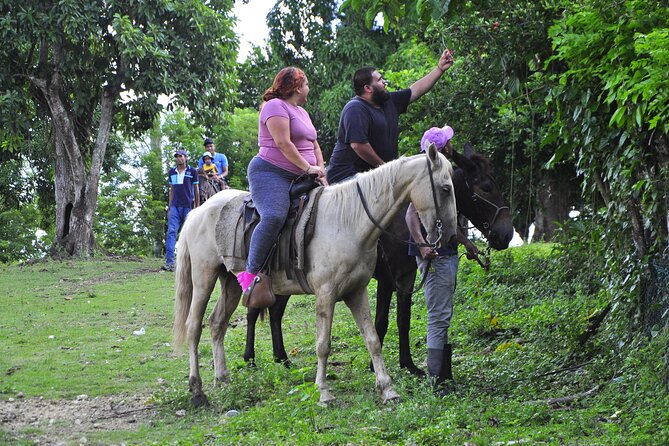 Half-Day Cultural Safari - The workshop stops: coconut, cigars, and the craft behind everyday flavors