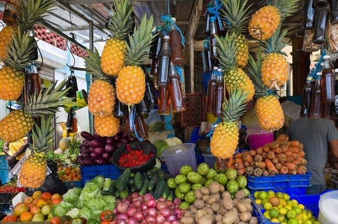 Half Day Dominican Republic Cultural Tour : Small Group - Who should book this tour, and who should skip it