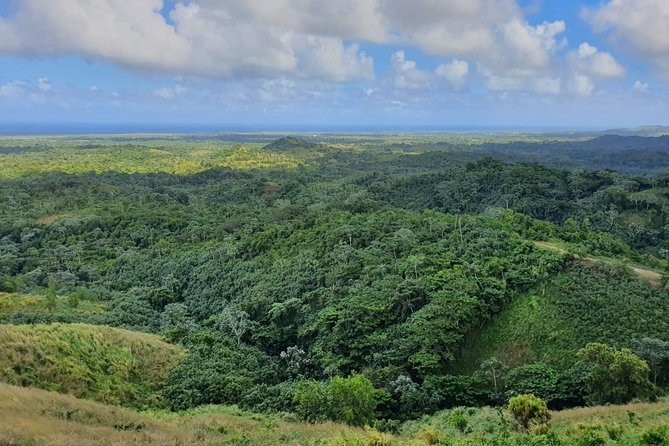 Half Day Dominican Safari for all Family - How the schedule keeps momentum (and why that matters)