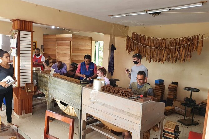 Half Day Dominican Safari for all Family - Price and value: what $49 buys you in real terms
