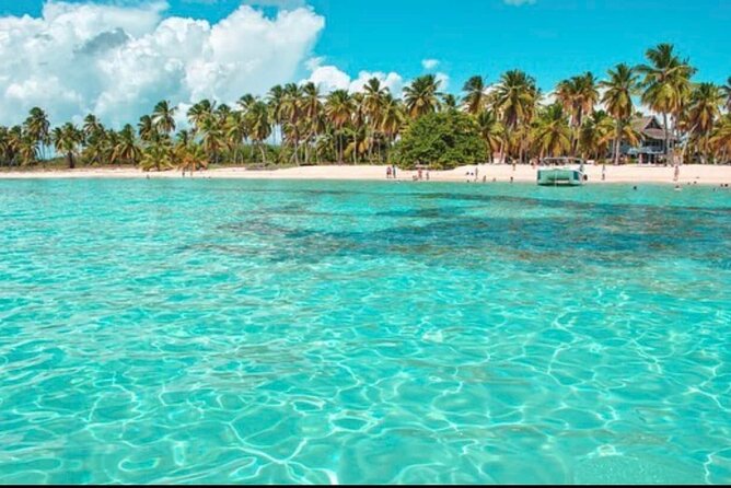 Half-day Private Catamaran Trip with Snorkeling - Entering the day: private VIP catamaran on the Bavaro coast