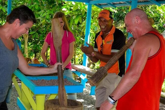 Half Day Punta Cana City Tour - Pickup and group size: how it affects your comfort