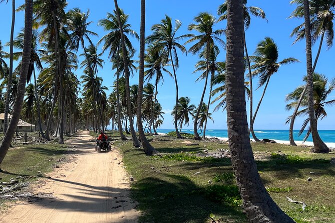 Half Day Safari and ATV or horses from Punta Cana - Key things to know before you go