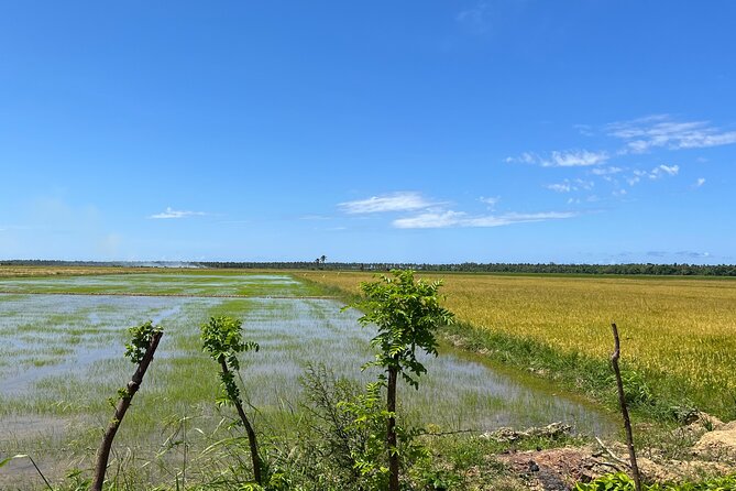 Half Day Safari and ATV or horses from Punta Cana - Down to Playa Limon: a long beach break with real Caribbean atmosphere